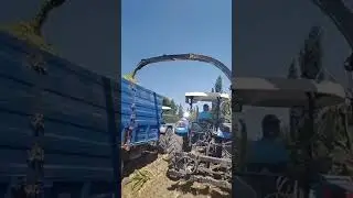 Single Row Maize Harvester