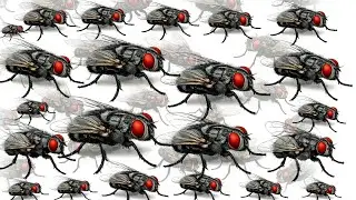 घरेलू मक्खी कितनी खतरनाक है? I housefly facts। Gharelu मक्खी,#housefly 