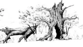 Nicholas Quennell Projects: Central Park Children&rsquo;s Zoo [7 of 11]