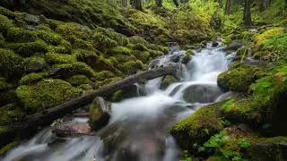 5 of the Best National Parks in the US