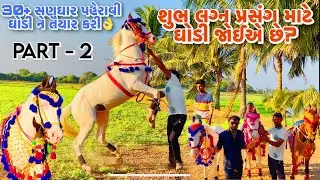 PART 2 | શુભ લગ્ન પ્રસંગ માટે ઘોડી જોઈએ છે? | બાલાગામ ઘેડ | 30 સણઘાર અહીયા સિવાય ક્યાંય જોવા નહી મળે