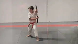 Me doing my karate class