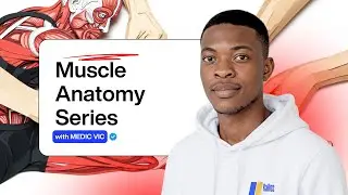 16- Scapular Anastomosis 