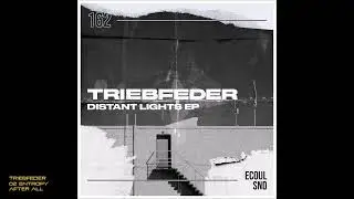 Triebfeder - 02 Entropy After All