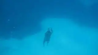 Lo chiamavano 