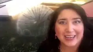 Mompreneur.Secrets