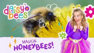 Preschoolers Discover the Magic of Bees and Honey Making!