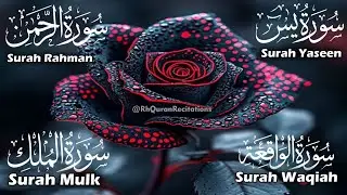Beautiful Surah Yaseen (Yasin) | Surah Rahman | Surah Waqiah | Surah Mulk | Episode 41