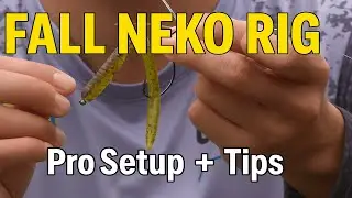 The Finesse Secret You Need This Fall: NEKO Rig Setup & Tips | Bass Fishing