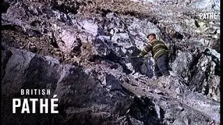 Serpentine Rock  (1963)