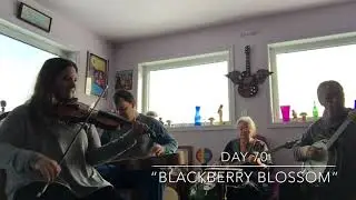Day 70 - “Blackberry Blossom” - Patti Kusturok’s 365 Days of Fiddle Tunes