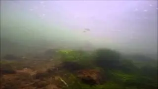Dry Run Creek 7 5 15
