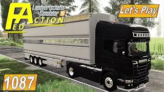 #LS19 #1087 Rinder und Schweine zum Schlachter fahren #Landwirtschaft Simulator 19 mod map NF Marsch