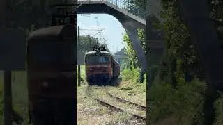 43 307 #train #bulgaria #railway #trainspotting #bdz #skoda
