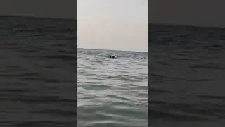 Daring :save from drowning at the Lagos bar beach