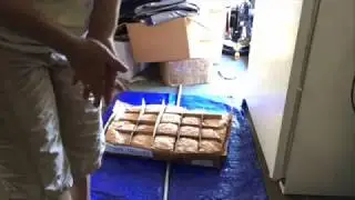 Ross Wells Titan Blend Divided Boxes of RAW dog food