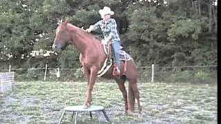 Christine Martinetz - Freemax Western