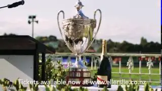 Auckland Cup Week at Ellerslie!
