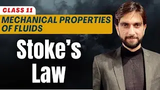 Stokes Law Class 11 | Mechanical Properties of Fluids Class 11