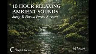 10-Hour Pink Noise for ADHD & Deep Focus | Cognitive Support Sound Design