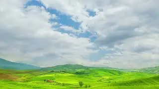 CX field