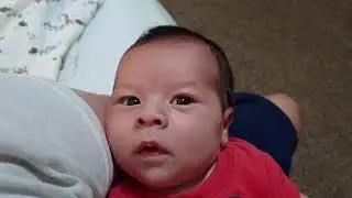 Beau Prichard 2 Weeks Old | October 2021