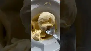 Ice Cream Scoops of Science #icecream #foodscience #homemadeicecream #learning #icecreamrecipe