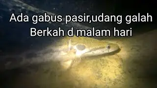 strike d tempat ini gk mau uda...