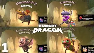 LETS UNLOCKED BABY DRAGONS PART 1 - Hungry Dragon