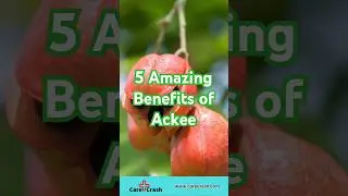5 Amazing Benefits of Ackee You Didn't Know! | #carecrash