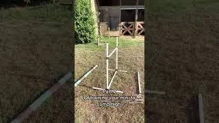 How to train a miniature horse to jump high