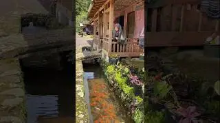 Fish Farming with Mom, and Builds Her Own Fish Farm