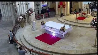 Transmisión Eucaristía Basílica de Lourdes   2024