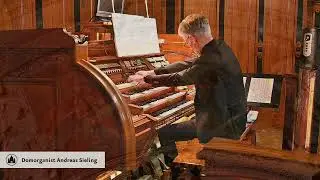 Andreas Sieling performs 