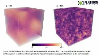 Large-scale turbulence in suspensions of swimming particles