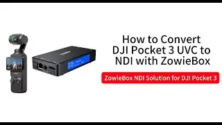 Convert DJI Pocket 3 UVC to NDI with ZowieBox | DJI Pocket 3 Live Streaming & NDI Workflow Demo