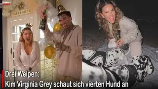Drei Welpen: Kim Virginia Grey schaut sich vierten Hund an #germany