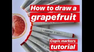 Grapefruit | Food marker Illustration |Copic marker tutorial
