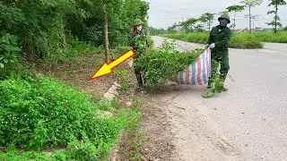 Никто не верил, что существует красивый тротуар, пока мы не пришли и не убрали заросшую траву.
