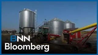 China sets temporary anti-dumping duty on Canadian canola