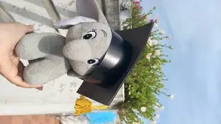 How to make graduation gift box