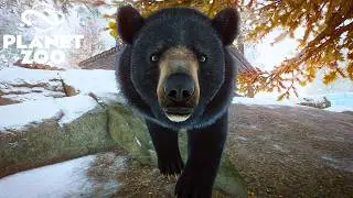 Making a Breeding Habitat for Black Bears in Planet Zoo