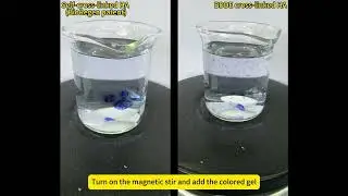 Self crosslinking vs BDDE crosslinking