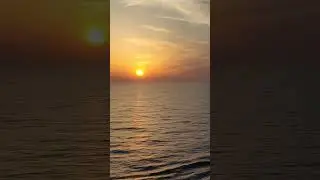Sleep & Relax 🌙 | Музыка для сна и отдыха