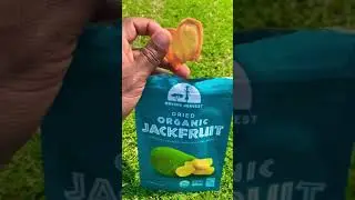 Whole Foods Jackfruit Snack Review! 🤔