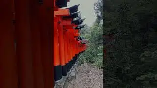 &ldquo;Walking through 10,000 torii gates feels like stepping into another world ⛩️✨&rdquo;#kyoto #japantravel