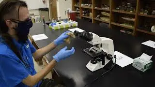 Lab Safety: COVID 19: Sanitizing the Microscope