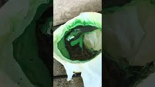 Hydro dipping a baseball softball helmet #baseballmom