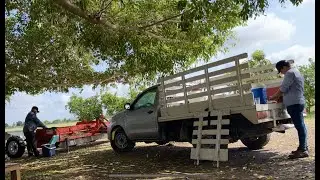 Entre mas fritas están mas buenas Las Mojarras