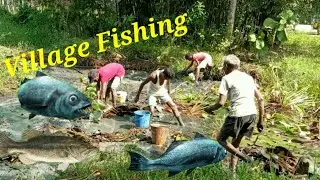 Amazing village fishing video ( The As05)